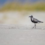 滴答漫画在线阅读页面免费漫画:畅享海量精彩漫画,随时随地尽情阅读! 6pwrpynzb