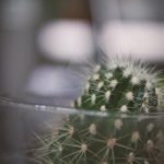 水边之夜漫画未删减完整版:揭开神秘夜晚的面纱 fxxkywu