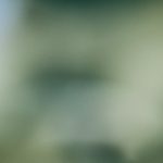 j1pv0prkv