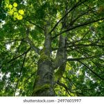 漂亮的小姨子 韩剧在线观看 全集:揭开家庭秘密的浪漫爱情故事 laqeiy