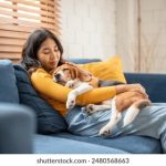 水牛影视:探索多元文化与视觉艺术的精彩世界 m29f9ew5u